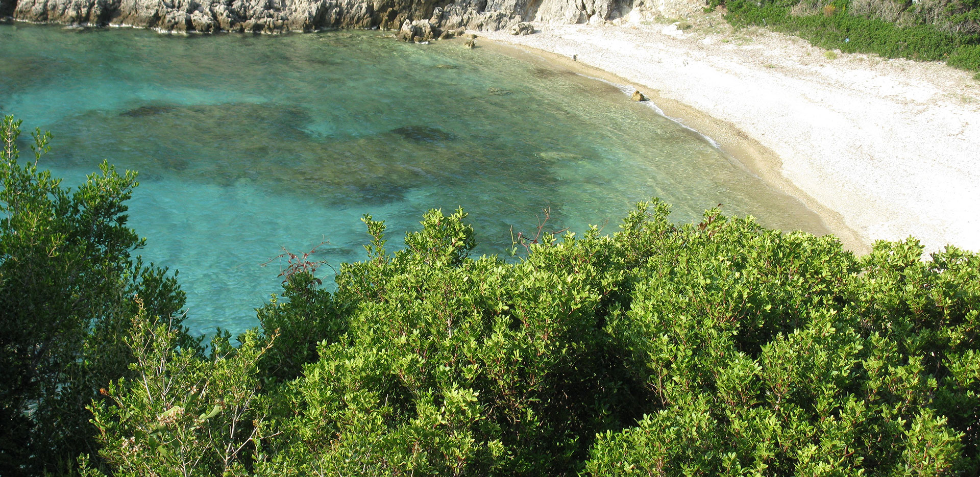 Management Executives